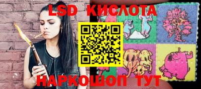 эйфоретик Кинель