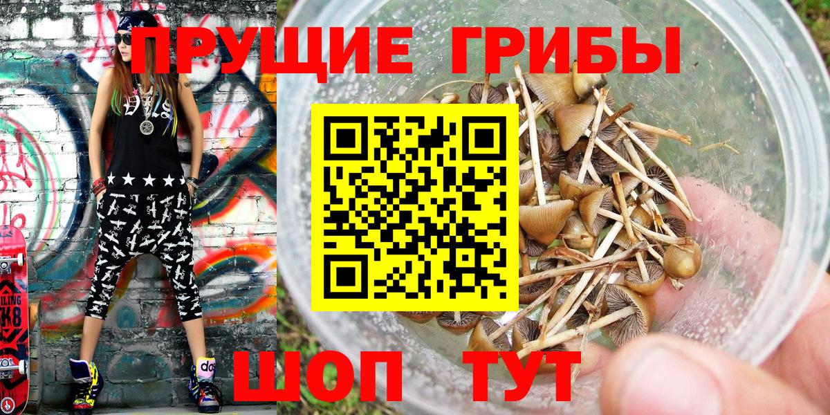 Псилоцибиновые грибы мухоморы  Вход с VPN  Валуйки 